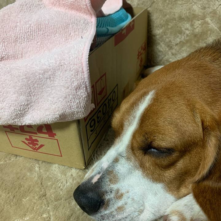 613cbad6 d6d9 424d 8f07 64b4f200a4fa 1587180890779