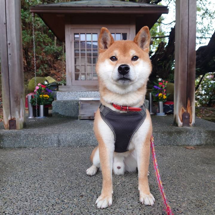 613ccea7 1d65 4042 8554 4416904bc9bf 1772268901469