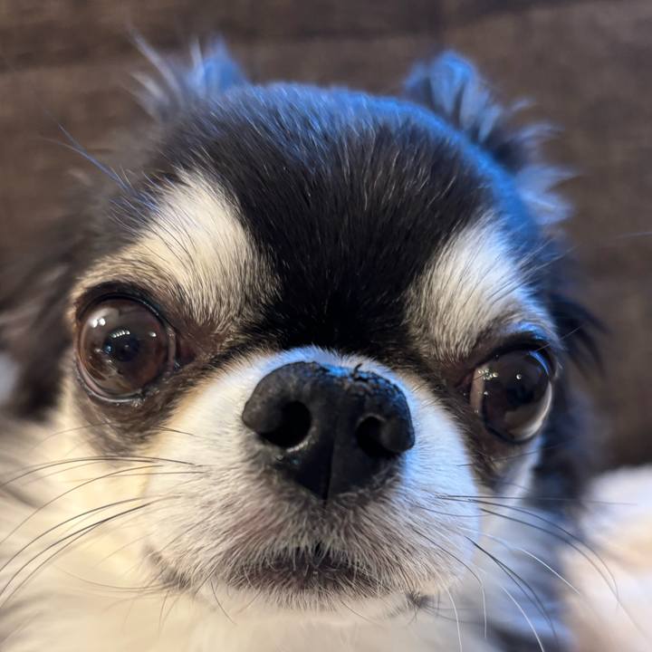 613d0114 79b8 495c 94bf ad362353ced8 1735602657113