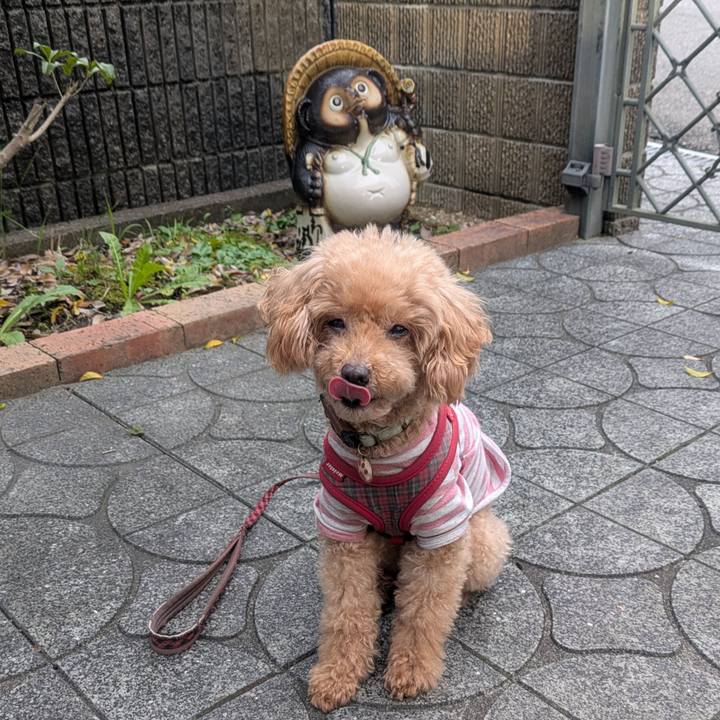 613d0f77 e3c2 4471 9f81 725a26267889 1761008226585