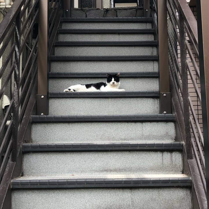 613d6548 08e4 489f 918d 0115db0d16c3 1566721652137