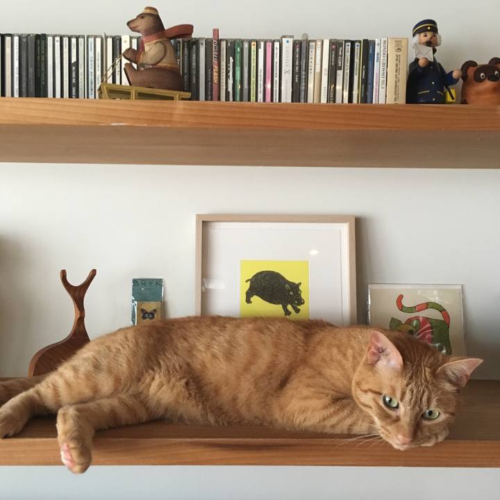 613d8798 6d90 4a05 aca6 641eb464cf88 1563682215775