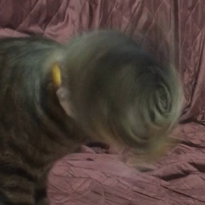 613ddd14 7a9f 46bd 904c 31150c26a081 1561177516471