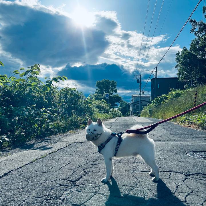 613de8b0 2535 462d 8374 5849a2b7d9fb 1687901419802