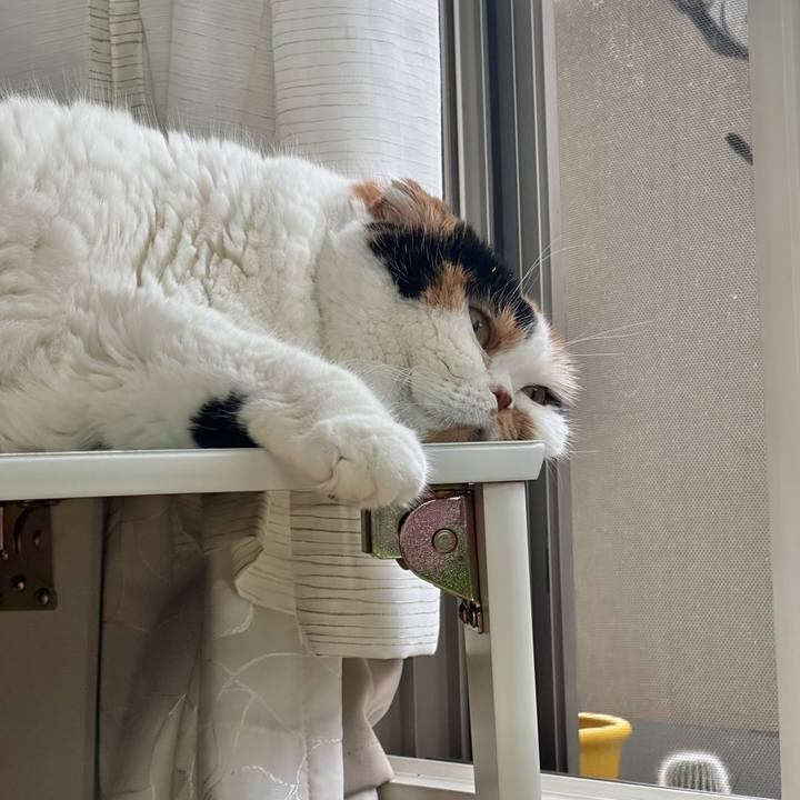 613e0218 542e 4ffa 8f8e 6381ae8ef460 1720040779920