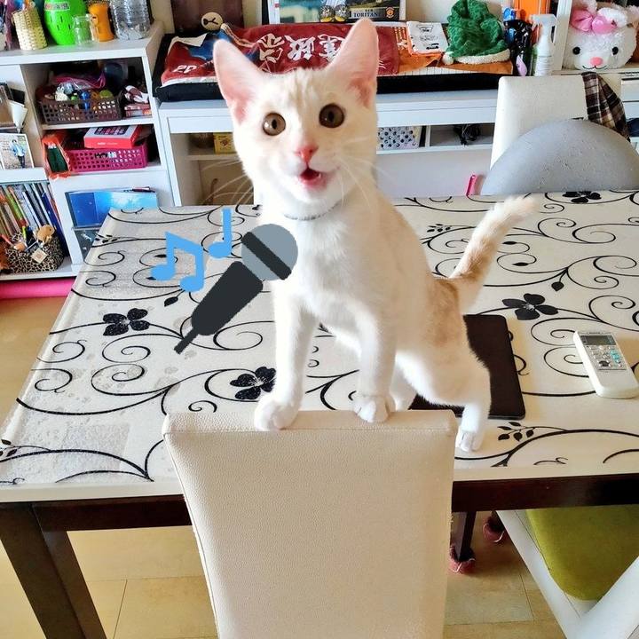 613e0576 d0a3 426b a410 a5186cfa8b76 1630364000536