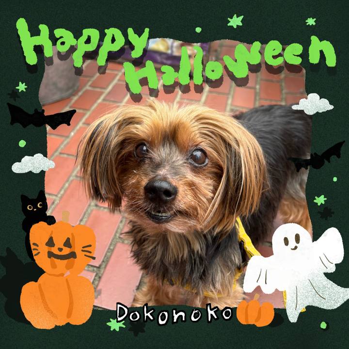 613e5a49 308b 46e1 b464 32a31e3ad903 1729169565265