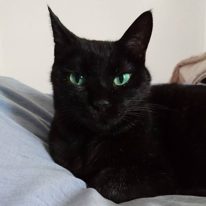 613e7916 99b3 43fc 812e c61d326c0fc5 1537007706946