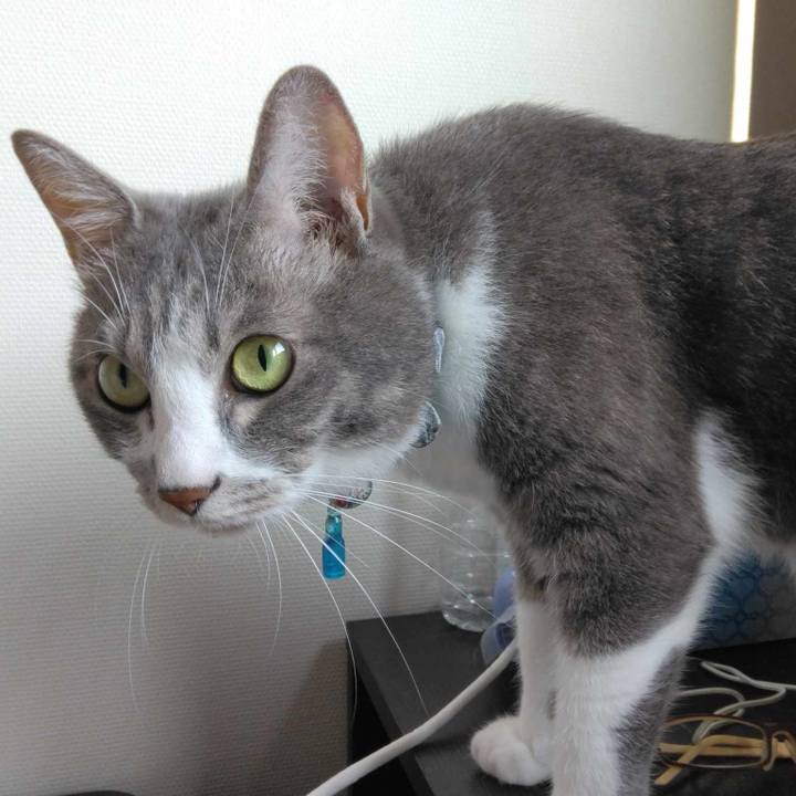 613e9121 b676 4042 9352 2c2ff81ee888 1690066346180