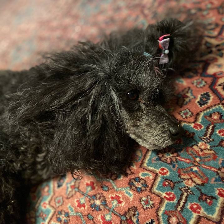 613e927d 181d 46c7 afda 802c6061d8a0 1714472635659