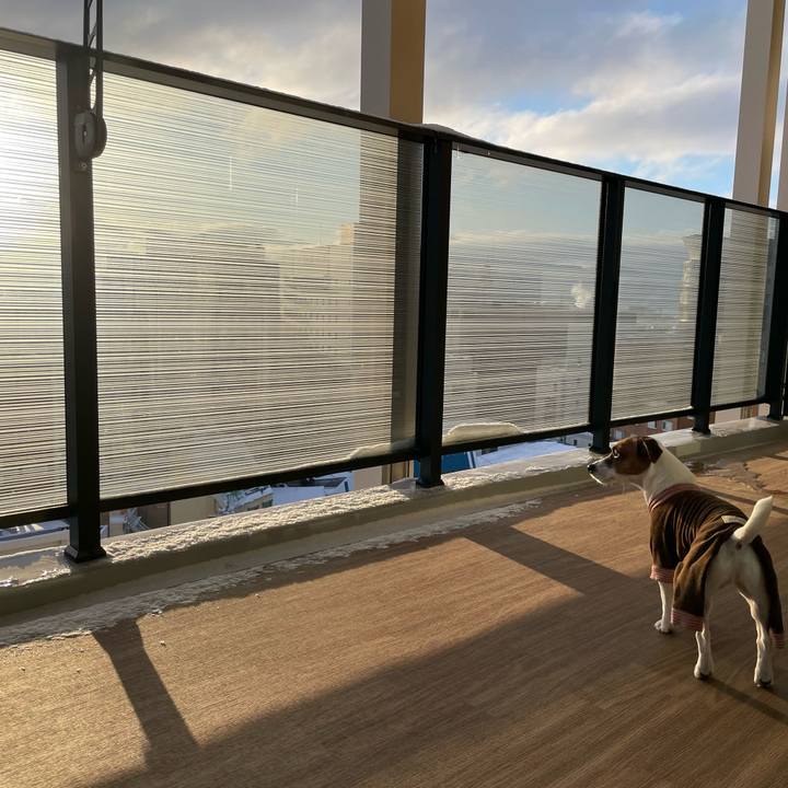 613eb247 746d 4a8f ac52 609baebb0c5d 1644186850999