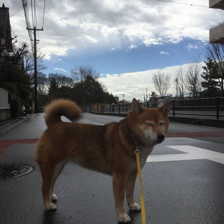 613eba2f 4baf 4f5e 873a fbbaec2d2b12 1552267528432