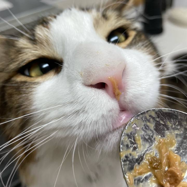 613ec3c5 b697 4000 a46d c07357e28af1 1648931463534