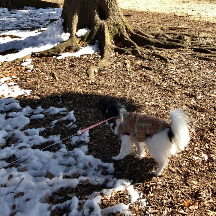 613ef0a8 b6af 45f6 9841 505d75e7703c 1517108052396