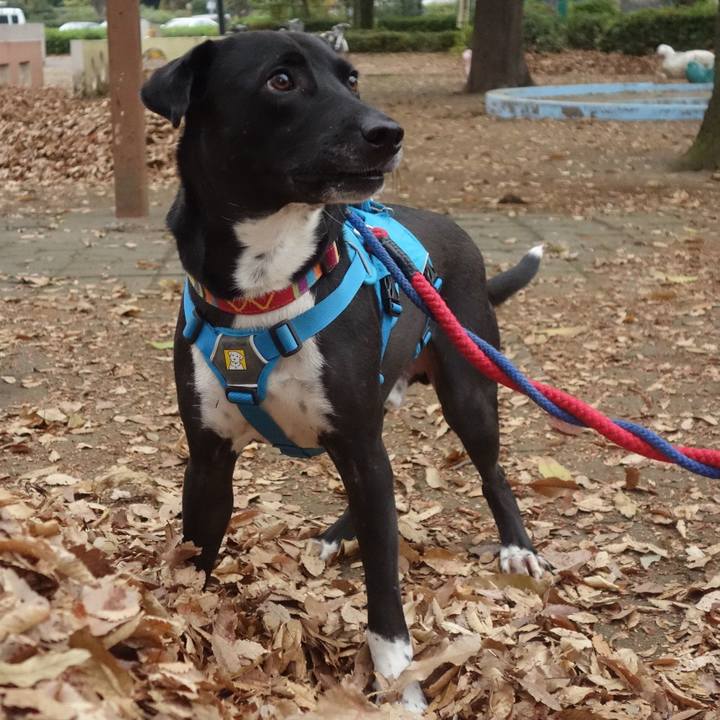 613f30d1 b416 4cb3 a15a f943d9a1ec6a 1606955439142