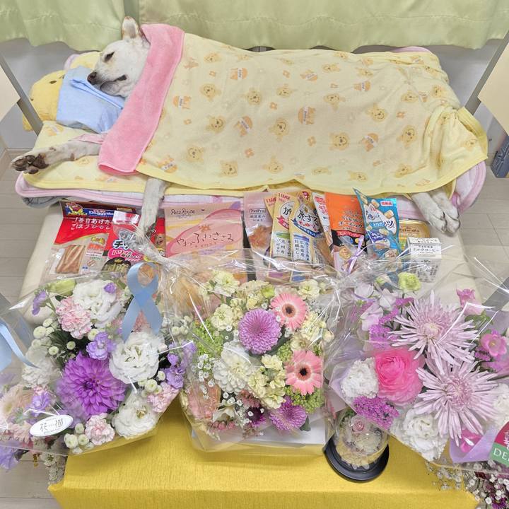 613f55ae f32a 44db 9986 8a53601d0857 1774004931218