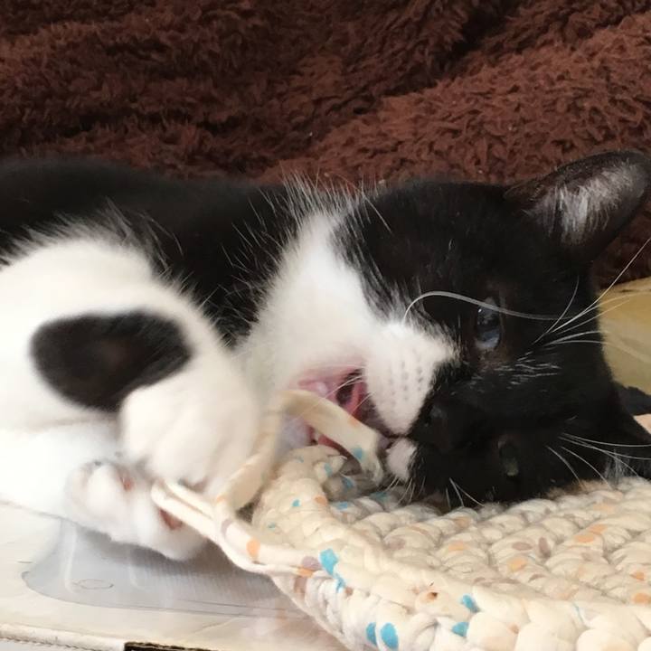 613f8cae f0b3 424d 9b0b c3eaa1e59921 1573788051134