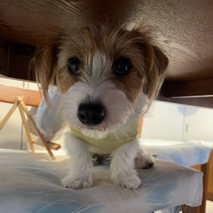 613fd528 090f 4bb3 ae8b f5c3ceb9af49 1763253065859