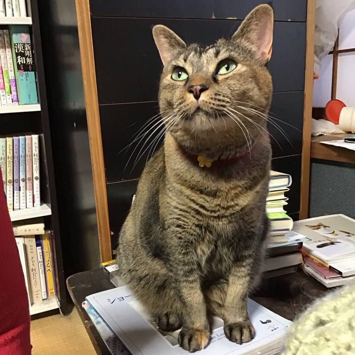 614073c2 804f 454f aa4b e709e4da054f 1729754721360