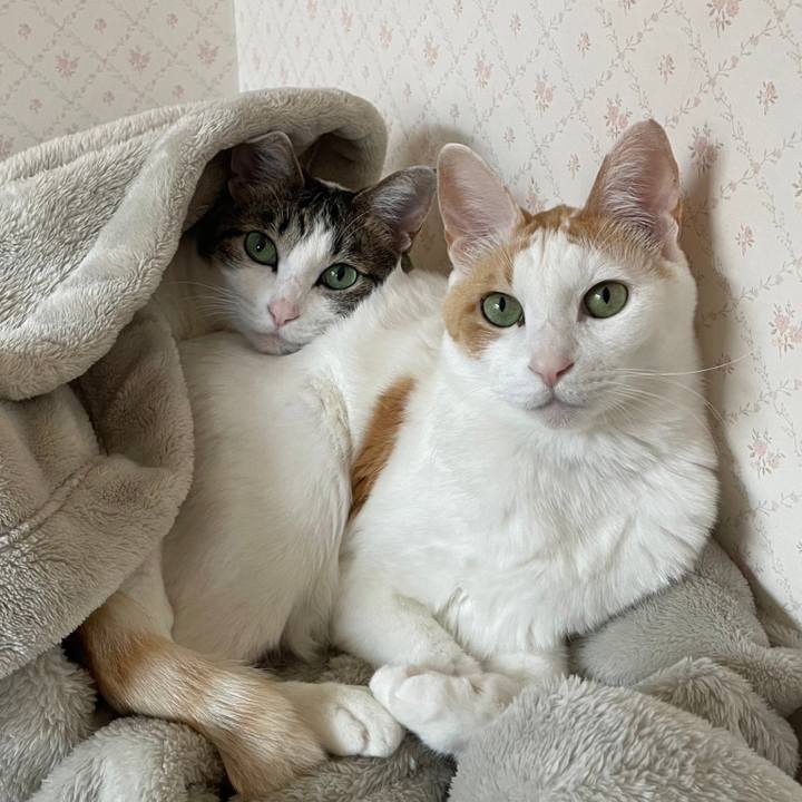 6140ba6d 2474 4f79 9bb0 7f7eed93de7a 1675342655463