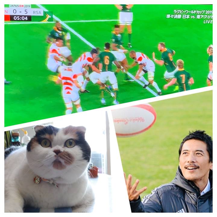 6140cc0c df45 487b b749 7501113295ca 1571567254809