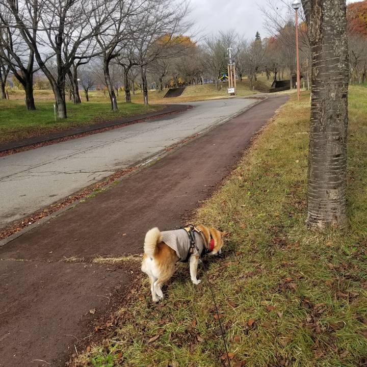 6140cffd 65c6 4d47 9f31 f56774429746 1732441607508