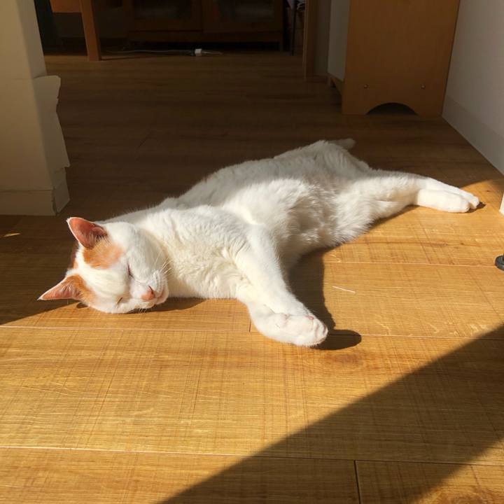 6140d7e1 88a1 4502 a52f 5e3683e0e9dd 1682637680527