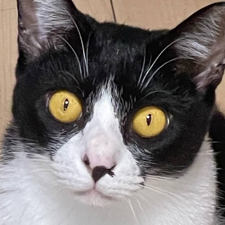 6140dbf6 e124 40d6 ba0b dcf9b350be79 1696048313436