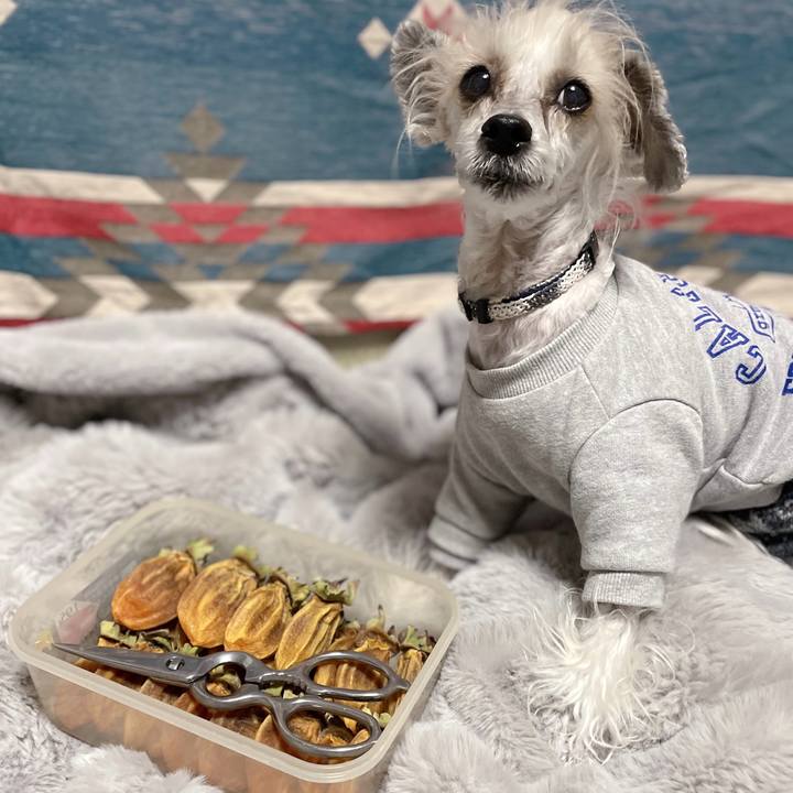 6140e15d d288 4d14 b4bd 5cb008cd876b 1762316130273