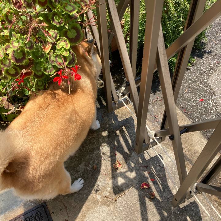 6140f061 5709 4a4e 850e 12e9ee1110d6 1624437819879