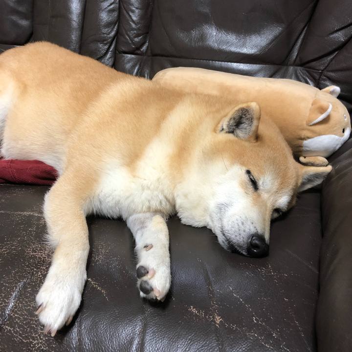 614108a2 cf0f 4493 93ba 9dbf3fc05658 1548849717348