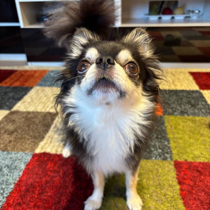 614115b4 c723 4109 8a4b 94667da94c71 1755190606697