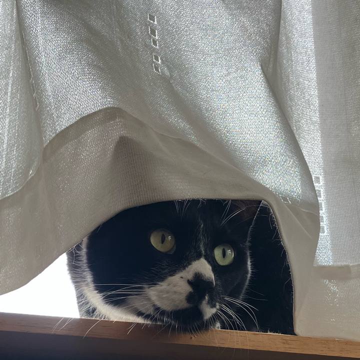 614135c4 67b6 4c4f b04e 16bab2c9ea6c 1700451294292