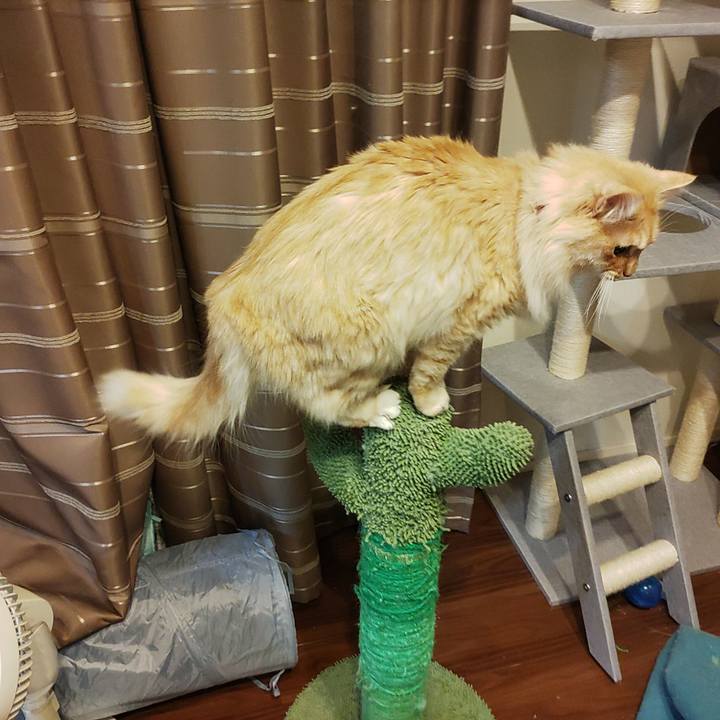 61413aa1 926d 4f8e 9612 e2e19d582661 1675339795353