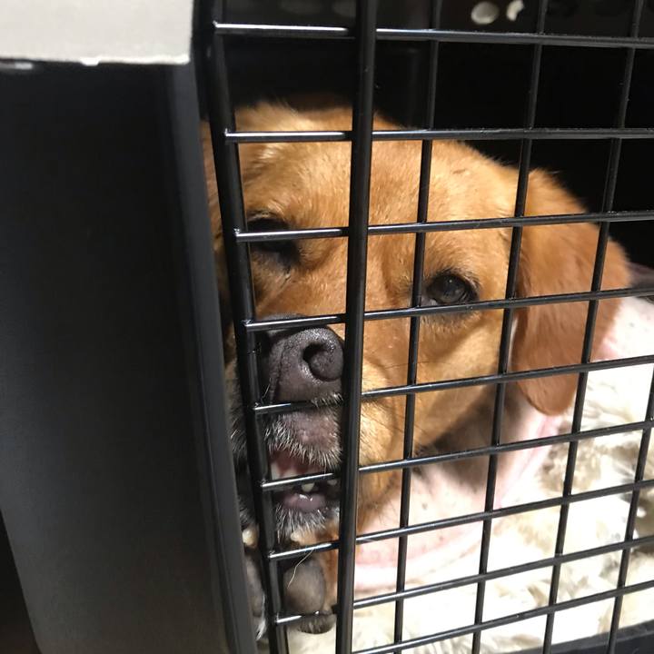 61416c74 0cf2 4d0f abad 19c3cfc21a04 1560080742796