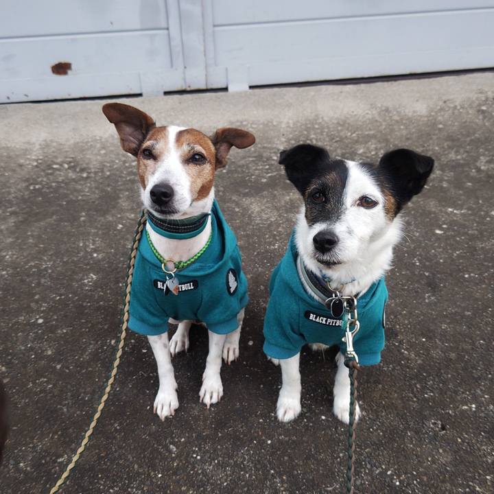 61418107 cd85 4e22 ae4f 42735f923b7b 1761689208718