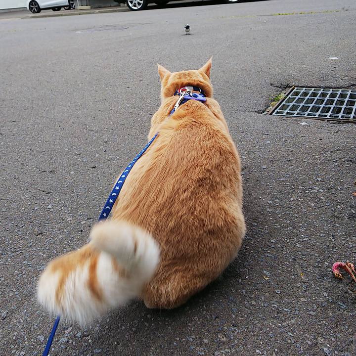 6141c388 108f 4dd9 8dff 54fe6cbaa973 1562886168132