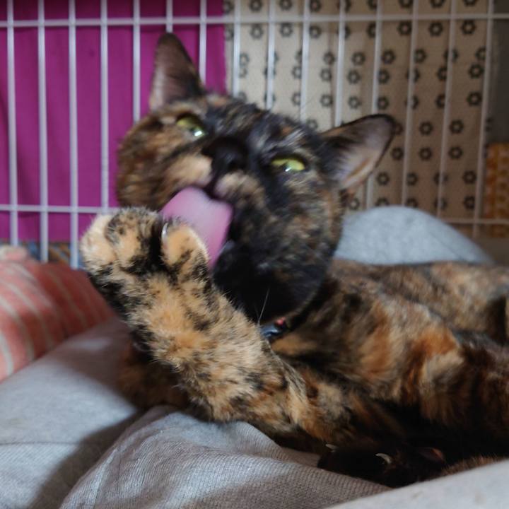 6141dd65 964a 4fff ae39 c70a17b8ca3e 1612183832408