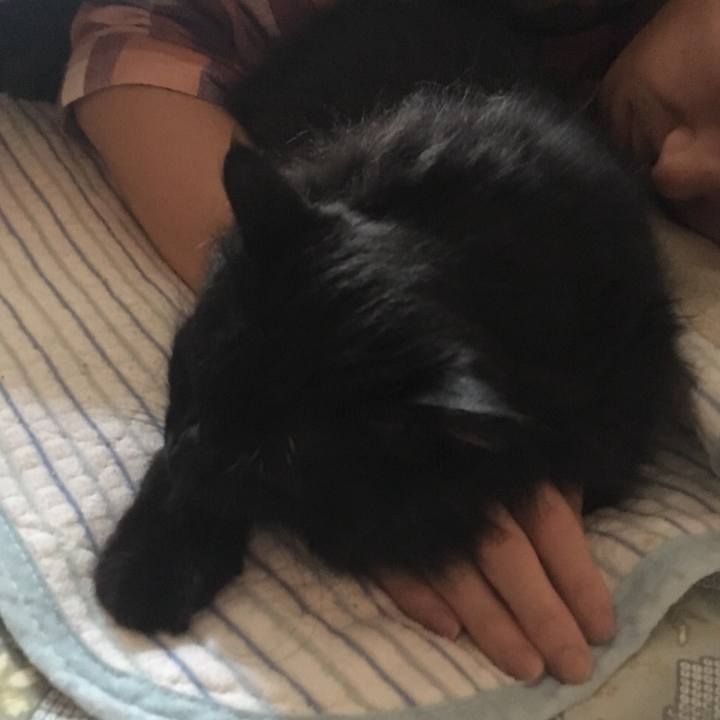 61423bae 90e1 4fe5 be08 af274bc30ee8 1543747828523