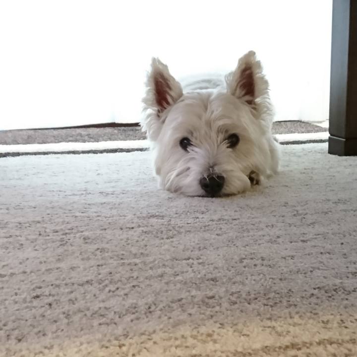 614266ab b142 4e6d b2ef f2a6c93f5213 1538841369301