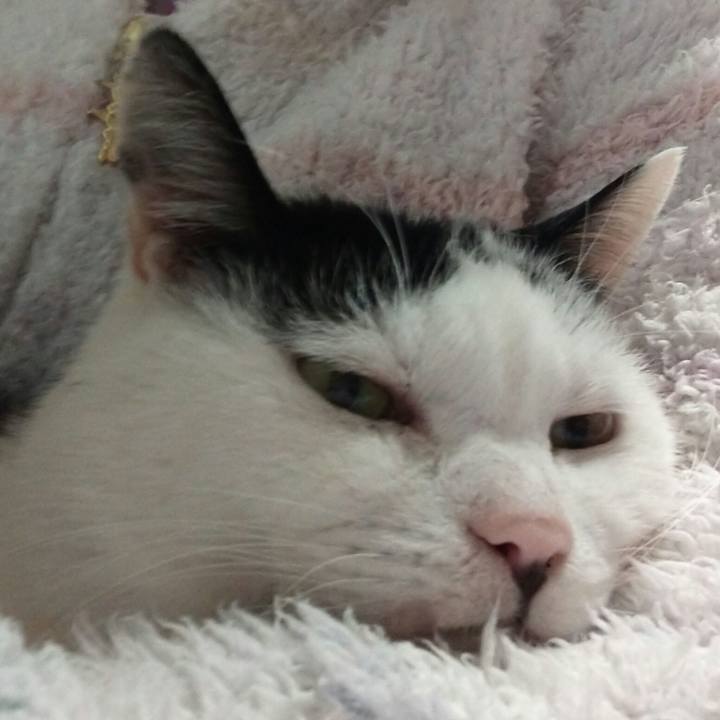 61426c29 4c67 4230 9005 6fbe094d2dc1 1609483524404