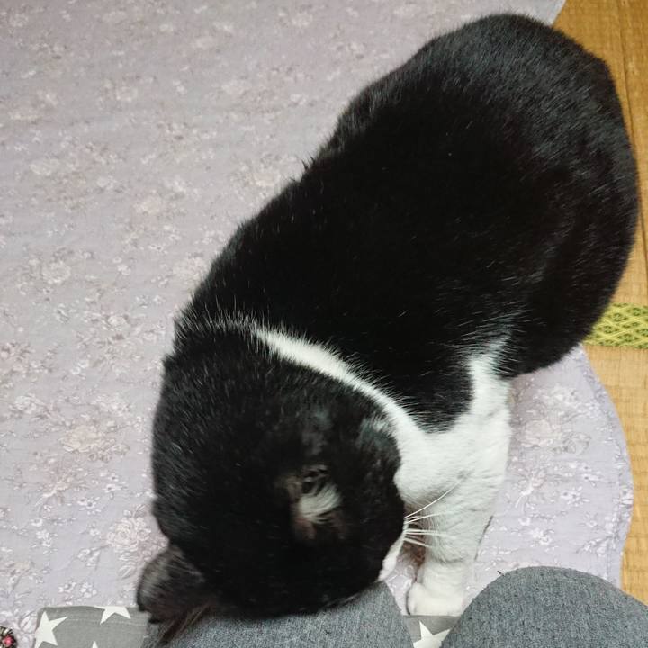 61427a73 1a35 403d 8e64 8e4c6ac589a8 1549674871526