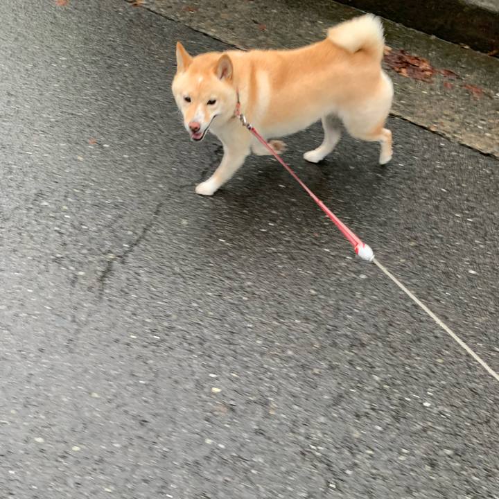 61427dd4 4964 4159 902f dbfce8167299 1630795020064