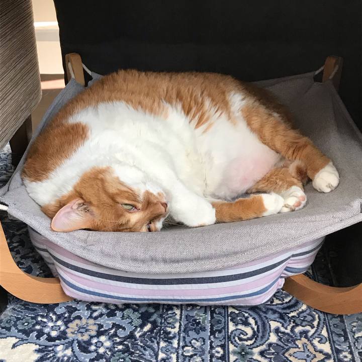 6142cfaf 8c2d 4513 a8bd 6598a9b4f331 1570241707907