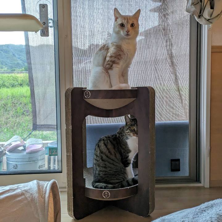 6142da26 a72b 45e1 84a2 ff0bcb4a2fdb 1687167770620