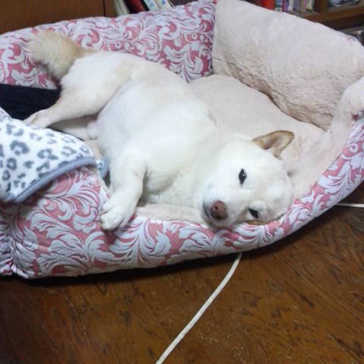 6142edb0 f404 4802 a635 a8341ca73a1f 1635247036042