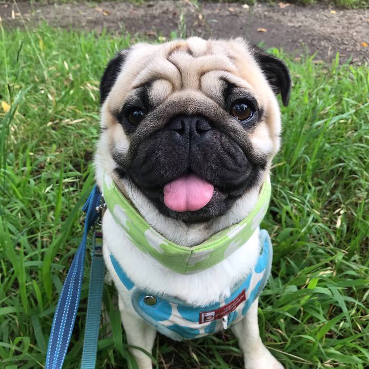 614301dc fd39 4f83 a2c0 7c712961a056 1596110710979