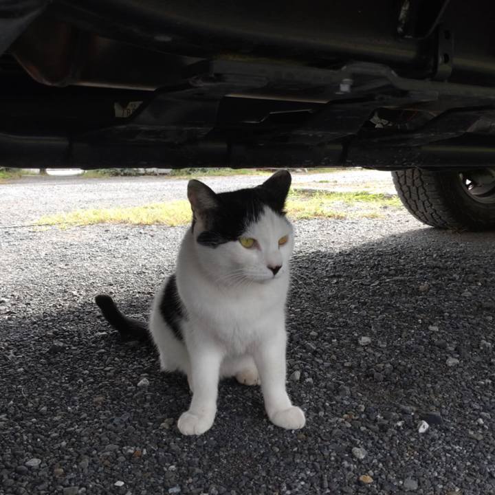 61430751 6b2a 4473 b4f5 4ed72d6d6605 1759450006703