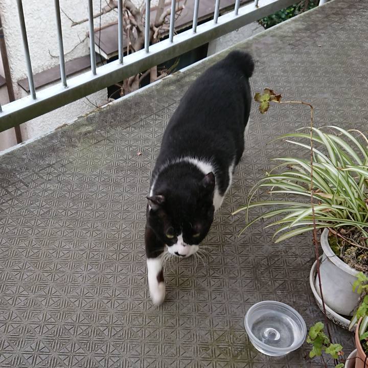 614315cf fc61 4a0e a7b3 b7af48877ede 1581730289879