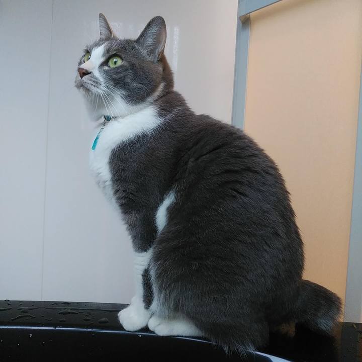 61432704 e643 4aba 89d8 097ca69f1ba2 1643277415306